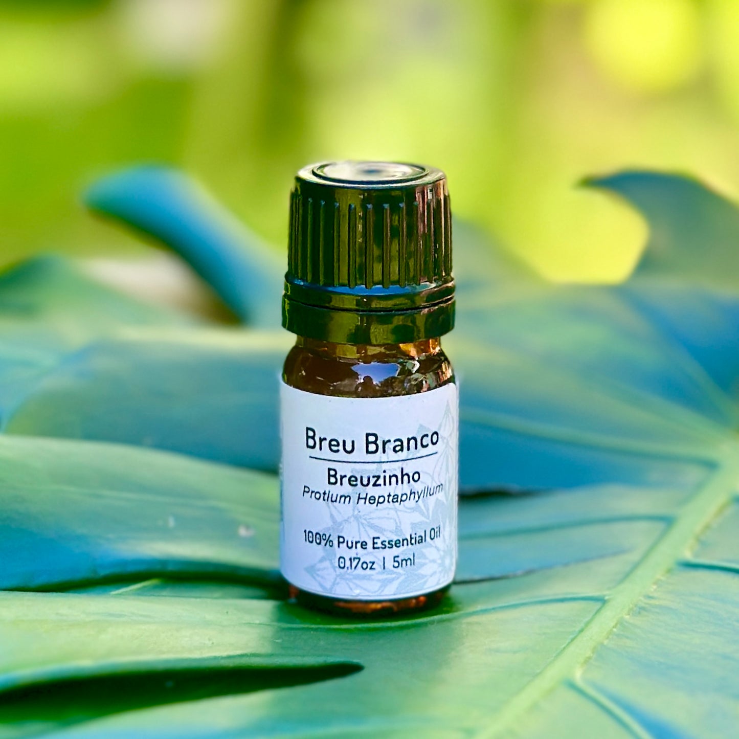 Breu Branco Essential Oil