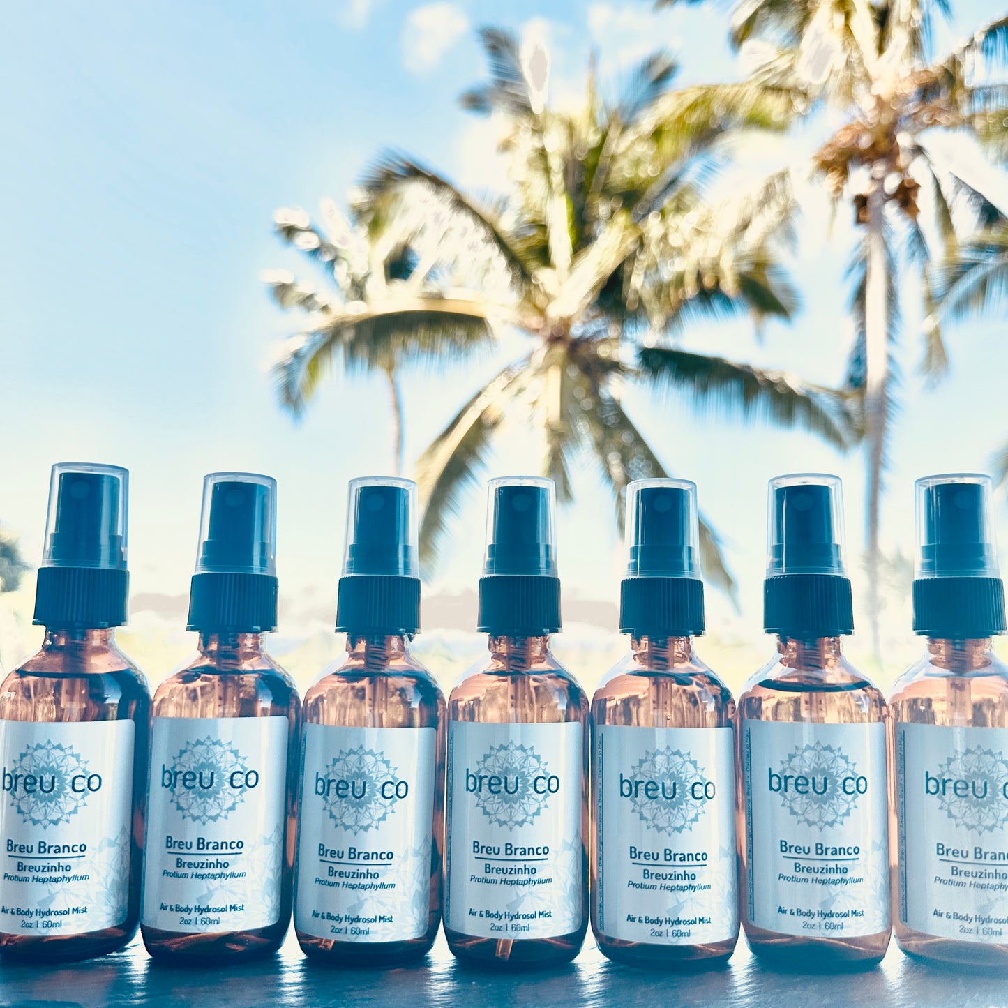 Air & Body Hydrosol Mist