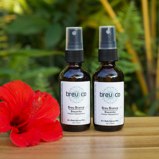 Air & Body Hydrosol Mist