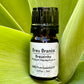 Breu Branco Essential Oil