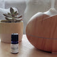 Breu Branco Essential Oil